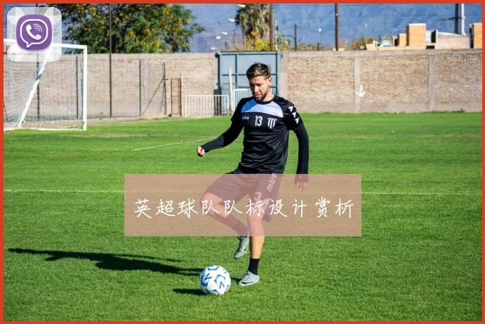 英超球队队标设计赏析